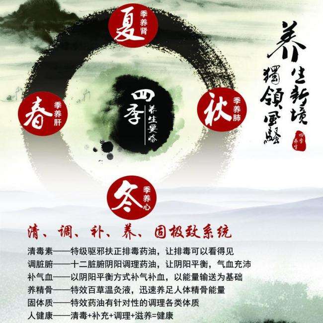仿制假安大略省身份证